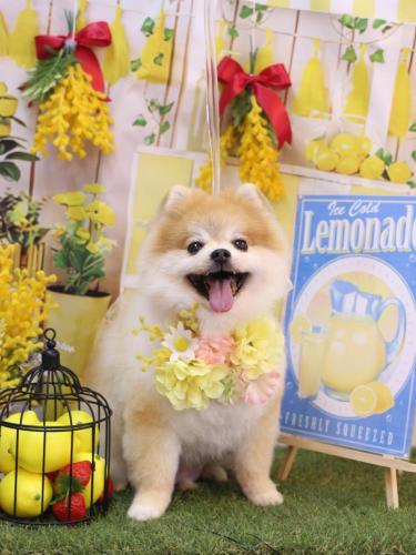 20240420モコくん